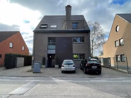 commercieel te huur in grembergen