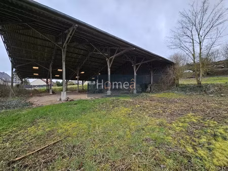 vente terrain 2306 m² à hangest-sur-somme (80310)  55 000 €