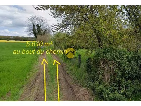 vente maison 1 pièce sancoins (18600)