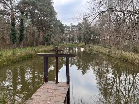 vente terrain 5081 m² à villefranche-sur-cher (41200)  30 500 €