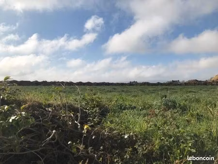 terrain 875 m² pleyben