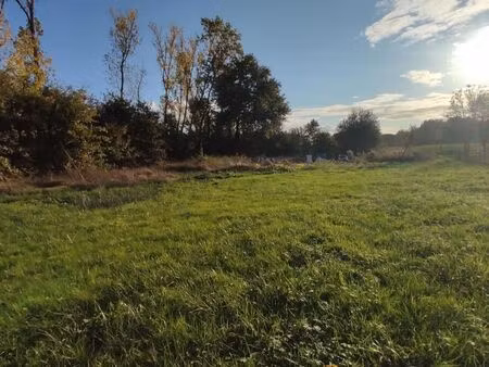 terrain 4 500 m² beaupouyet