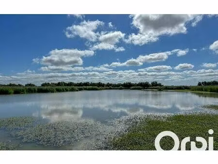 terrain saint-laurent-de-la-prée m² t- à vendre  59 950 €