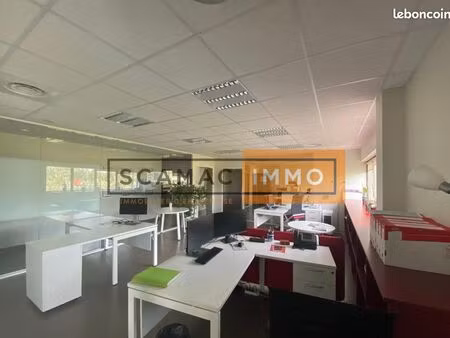 bureau 480 m²