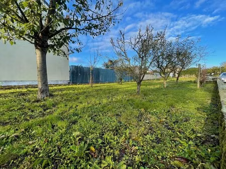 montreuil-bellay  terrain constructible