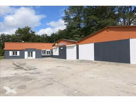 vente maison 7 pièces 247 m² theillay (41300)