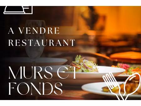 annonce commerce à vendre