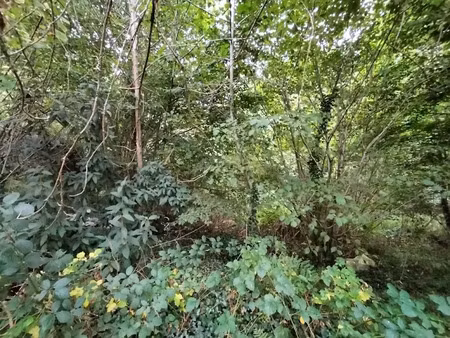 vente terrain 8920 m² à saint-priest-taurion (87480)  34 000 €