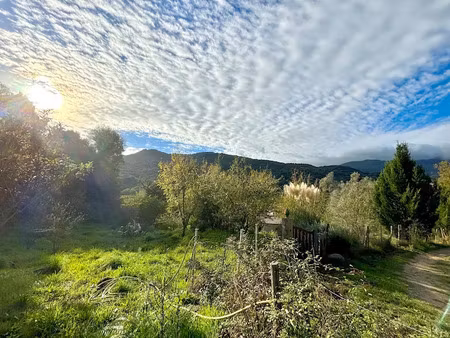 vente terrain 800 m² à forciolo (20190)  61 000 €