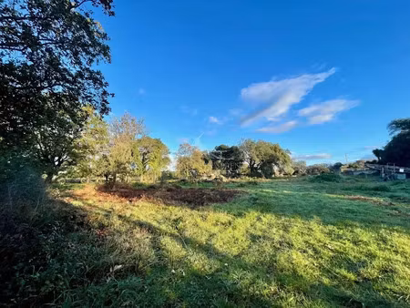 vente terrain à batir 891 m² à prunelli-di-fiumorbo (20243)  109 500 €