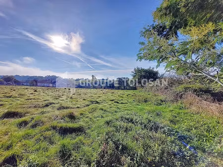 vente terrain 3172 m² à rieumes (31370)  88 000 €