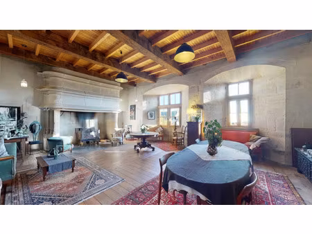 vente maison 7 pièces 280 m² saint-félix-de-lunel (12320)