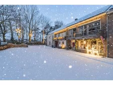 espace commercial avec exploitation de restauration à geel