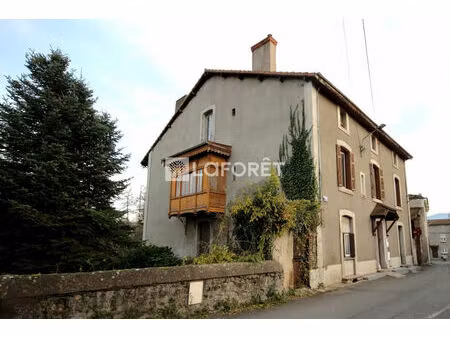 demeure bourgeoise en pierre de 500 m²