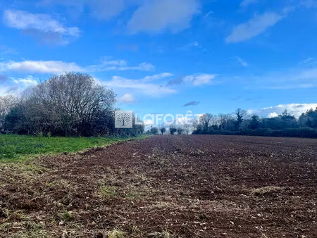 terrain saint vincent sur oust 4889 m2