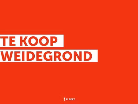 te koop - 1ha43a12ca landbouwgrond te koop in papegem