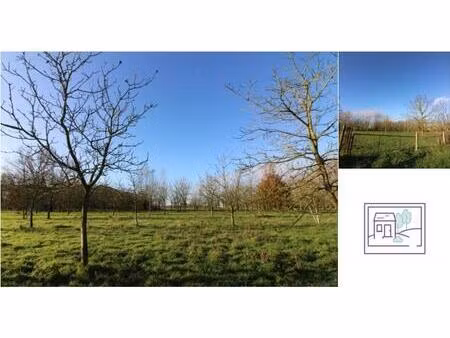 terrain agricole à vendre à baardegemstraat opwijk (rwc37821)