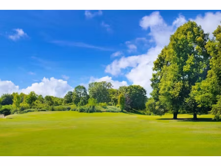 vente terrain 2000 m² à chatillon-sur-cher (41130)  33 000 €