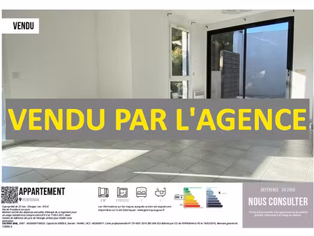 un appartement t2 avec une tres agreable terrasse  a perpign