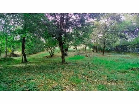 terrain boisé constructible