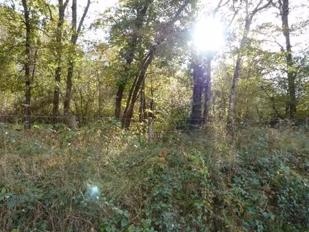 a saisir à nançay (18) : proche du chateau : terrain en partie constructible de 23 320 m²