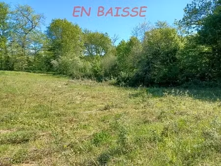 vente terrain 2800 m² à nabirat (24250)  36 000 €