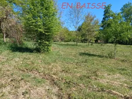 vente terrain 5500 m² à nabirat (24250)  60 000 €