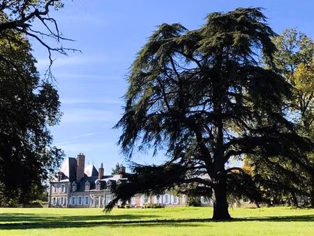 appartement de 7 pièces de luxe en vente à lamotte-beuvron  france
