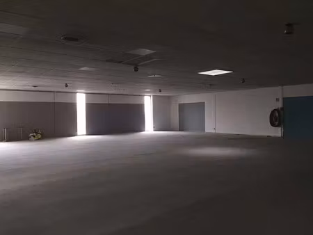 vente commerce chasseneuil du poitou 3 000 m²