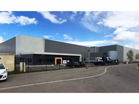 vente entrepôt / local d'activités ensisheim 8 039 m²