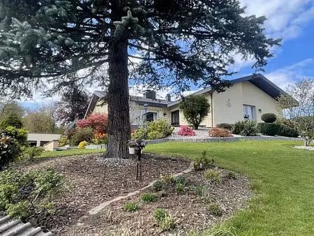 vente maison 7 pièces 255 m² hagenthal-le-bas (68220)