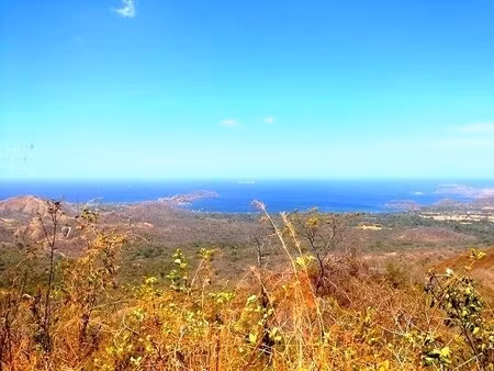 vente terrain