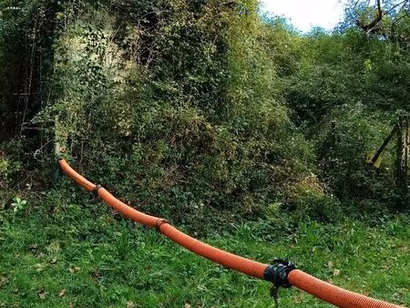 cabane avec terrain