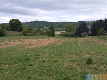 terrain