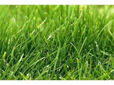 vente terrain à lamballe (22400) : à vendre / 665m² lamballe