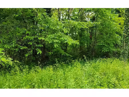 terrain léguillac-de-l'auche m² t- à vendre  23 500 €