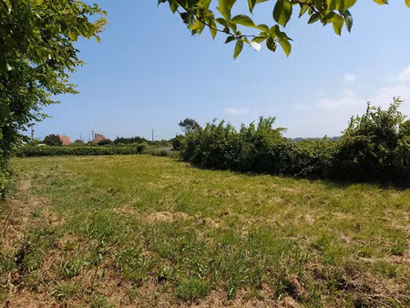 vente terrain 725 m² à néville-sur-mer (50330)  55 095 €