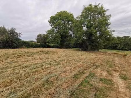 vente terrain à perros-guirec (22700) : à vendre / 526m² perros-guirec