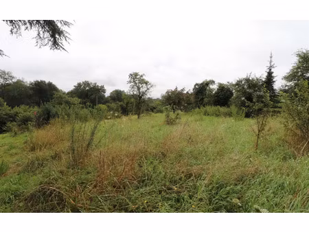 terrain pontailler-sur-saône m² t- à vendre  56 000 €