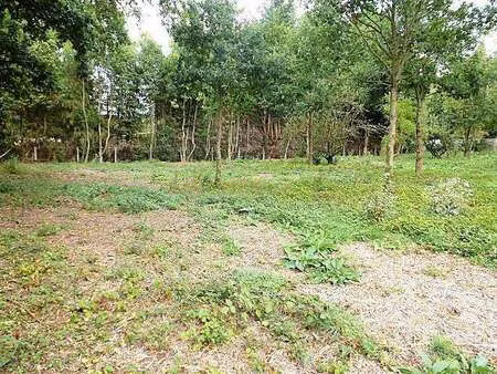 vente terrain à saint-rémy (14570) : à vendre / 1686m² saint-rémy