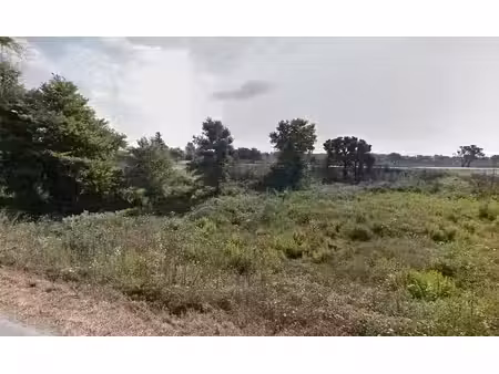vente terrain 4280 m² à solaro (20240)  220 000 €