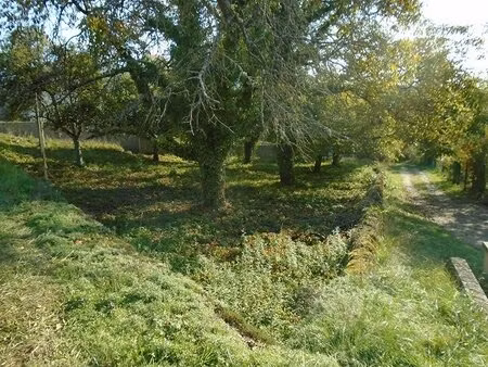 en vente terrain constructible 715 ares – 60 000 € |maron