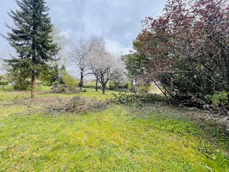 terrain constructible