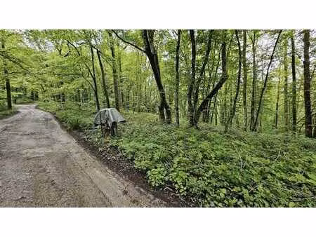 sous option - plus de visite - terrain de 63 ares en zone de