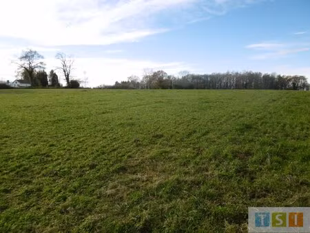 terrain constructible