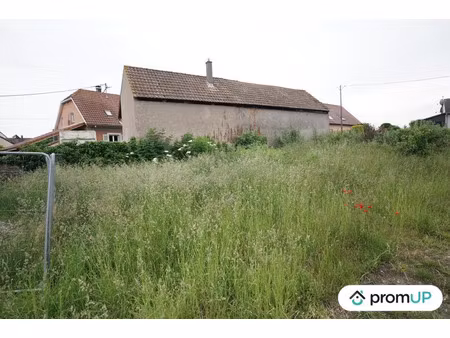 vente terrain 477 m² hirtzfelden (68740)