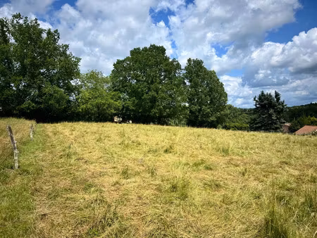 vente terrain 2578 m² lalinde (24150)