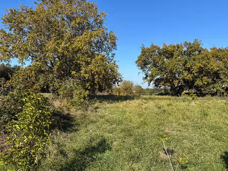 vente terrain  459.00m²  ligné