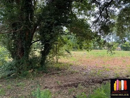 terrain constructible