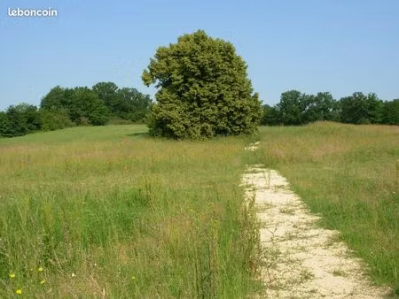 terrain a batir 702 m² viabilisé pezou négociable